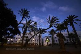 Image du Maroc Professionnelle de  Les palmiers du Jardin Arste Zerktouni, un des premier espace vert située à l'intérieur de la médina de Casablanca, Jeudi 22 Septembre 2016. (photo Abdeljalil Bounhar) 